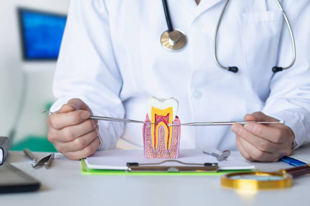 Best After-Hours Dental Trauma Care in Burke, VA